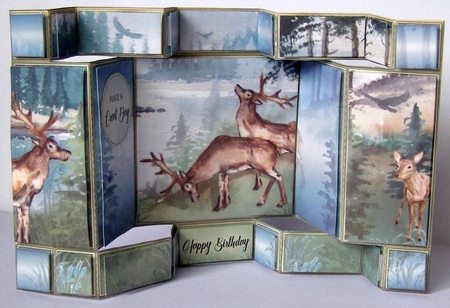 Sky Blue Forest Double_Tri_Shutter by Margaret McCartney