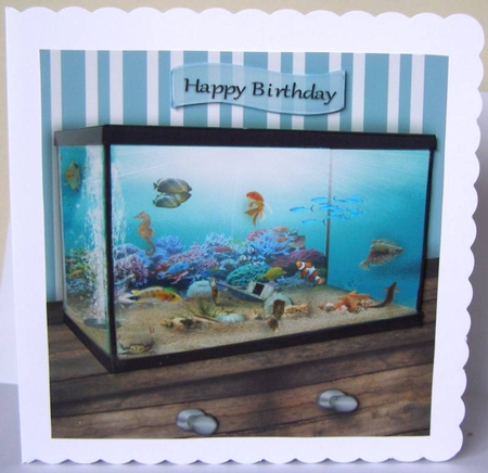 fish tank  by Margaret McCartney
