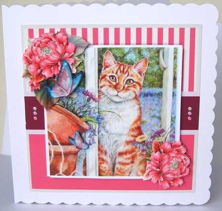 The Kitten And The Butterfly ~ Birthday / Mothers Day / Thank You and more by Margaret McCartney