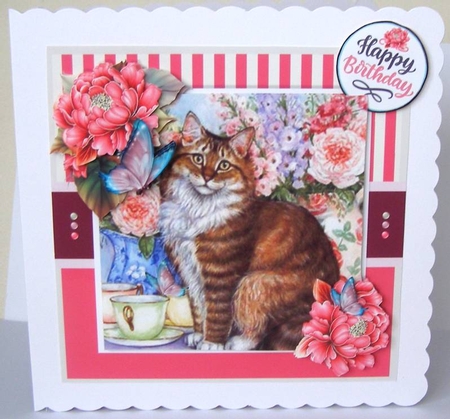 The Kitten And The Butterfly 2 ~ Birthday / Mothers Day / Thank You and more by Margaret McCartney