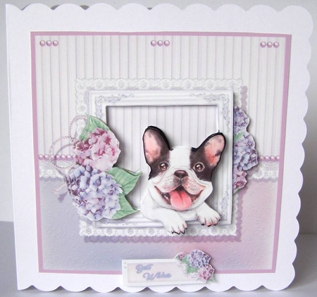Cute Puppy  6 x 6  Card by Margaret McCartney