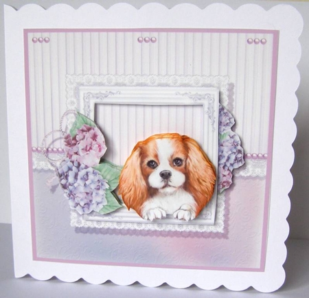King Charles Puppy  6 x 6  Card by Margaret McCartney