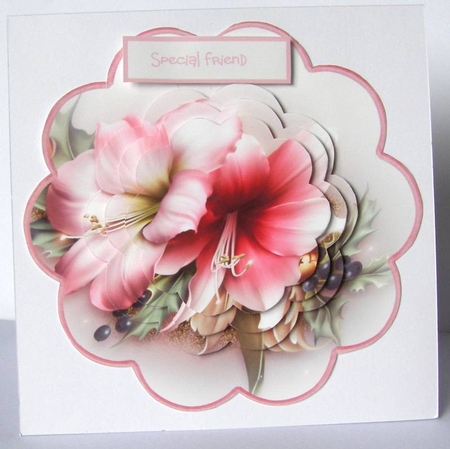Pink Lily scallop card  by Margaret McCartney