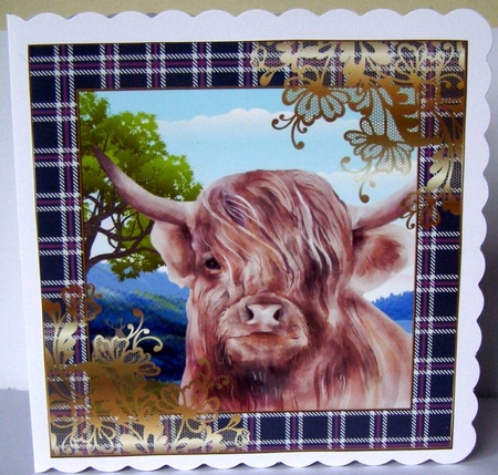 3 Highland cow card front/toppers 4 by Margaret McCartney