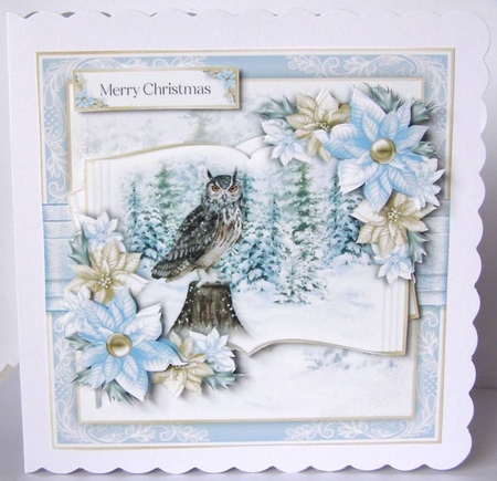 Christmas Owl Open Book 1 by Margaret McCartney