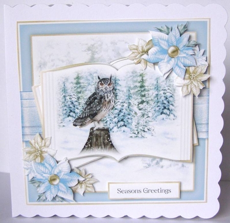 Christmas Owl Open Book 1 by Margaret McCartney