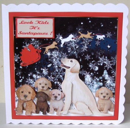 Santa Pawmas 3 by Margaret McCartney