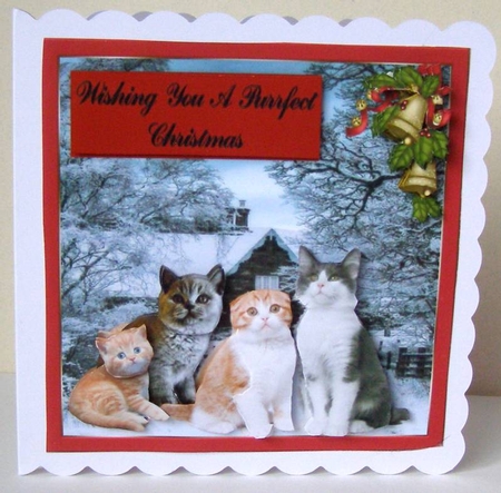 Cats Christmas by Margaret McCartney