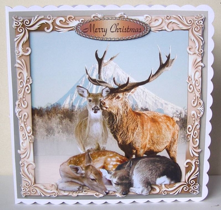 stag family  by Margaret McCartney