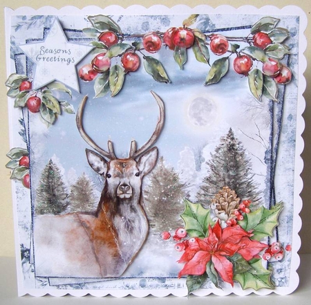 Wild Winter 15 by Margaret McCartney
