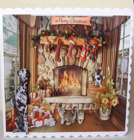 in the home  by Margaret McCartney