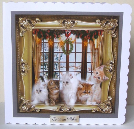 kittens by Margaret McCartney