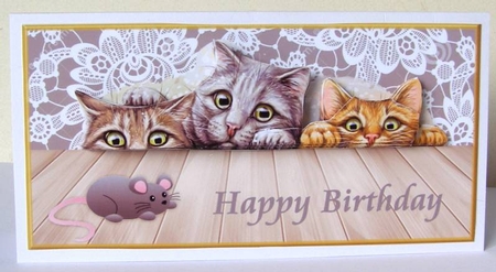 Funny Cats Birthday by Margaret McCartney