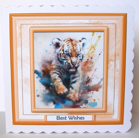 Vibrant Tiger Pup Featured Gallery Photo