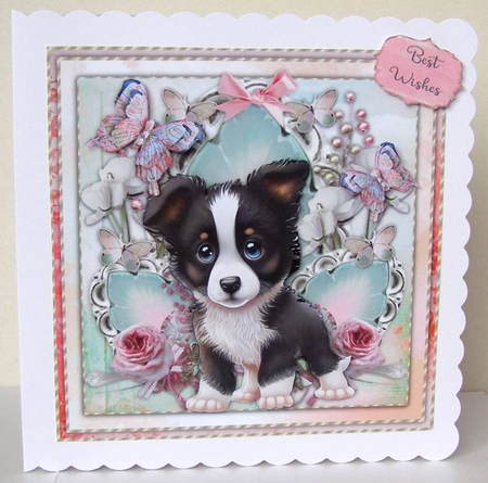 Sweet Rose Border Collie Mini Kit  by Margaret McCartney