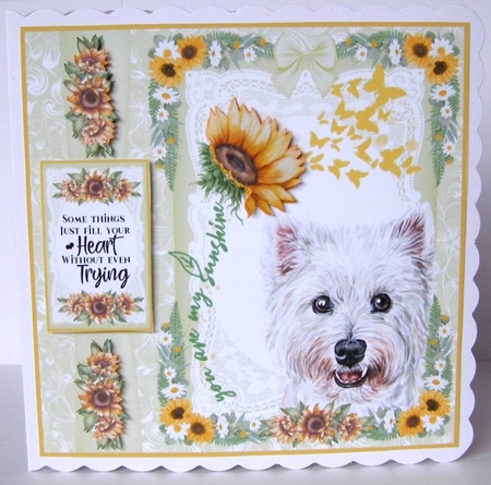 Scottish dogs you are my sunshine card front 8 by Margaret McCartney