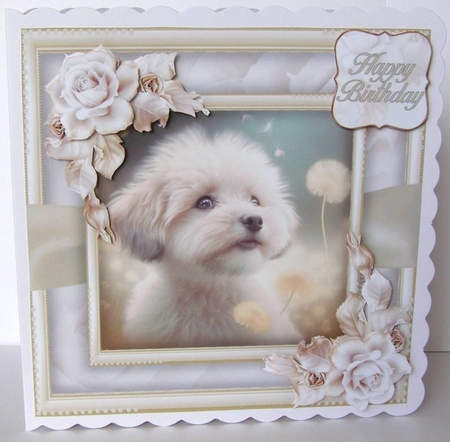Cuteness Bumper Kit #1    by Margaret McCartney