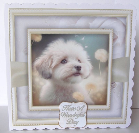 Cuteness Bumper Kit #1    by Margaret McCartney