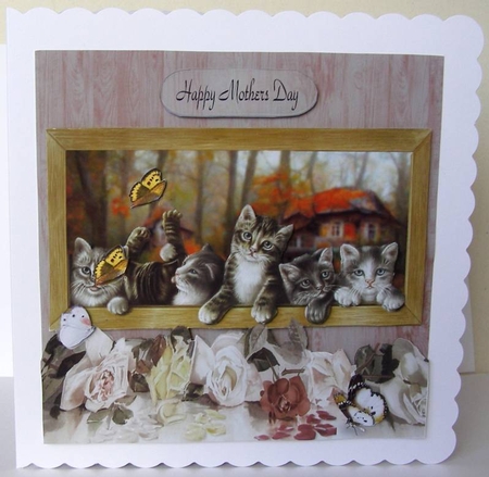 roses and kittens by Margaret McCartney