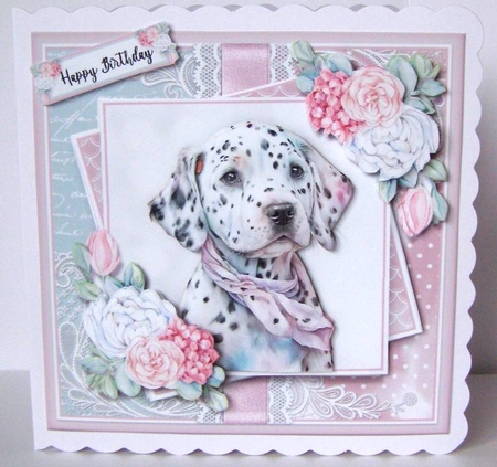 Dalmatian KIT - Four  by Margaret McCartney