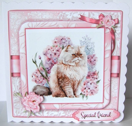 Persian Cats Card Front Mini Kit-4 by Margaret McCartney