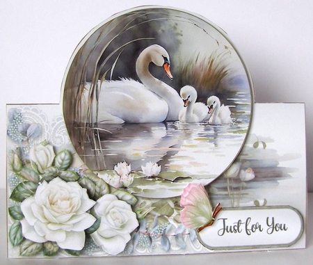 Swan Family Outing 5 Kit BUNDLE by Margaret McCartney