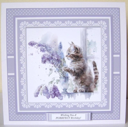 Wishing You A PURRFECT Birthday by Margaret McCartney