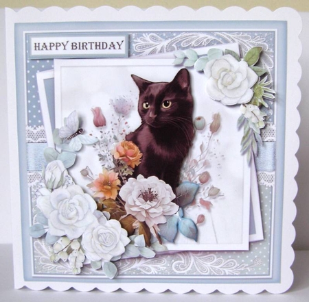 Just a gorgeou black cats KIT-ONE  by Margaret McCartney