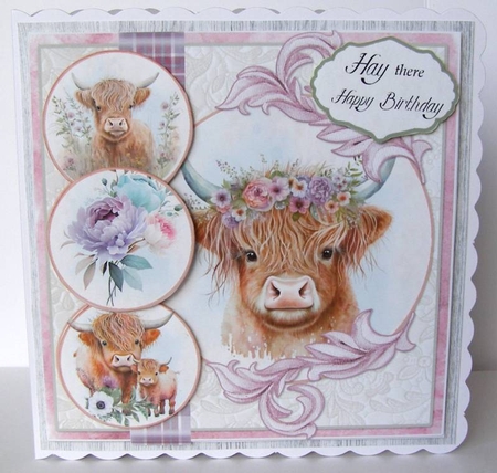 Mooving to the Highlands 1  7.75x7.75 Simply Cards  by Margaret McCartney