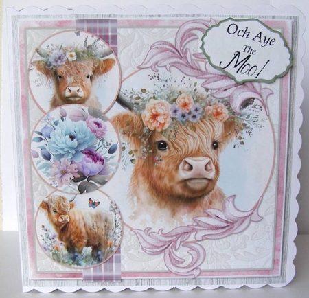 Mooving to the Highlands 5  7.75x7.75 Simply Cards  by Margaret McCartney