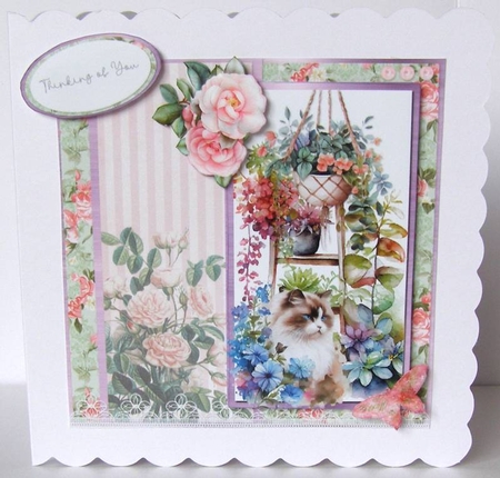 Summer Garden Cats 5: Ragdoll 6 x 6 Card Front with Topper, Decoupage Elements and Sentiments by Margaret McCartney