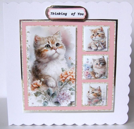 Family of cats 1 by Margaret McCartney