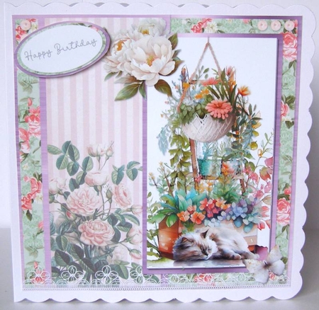 Summer Garden Cats 13: Sleeping Ragdoll 8 x 8 Quick Card Front with Sentiments by Margaret McCartney