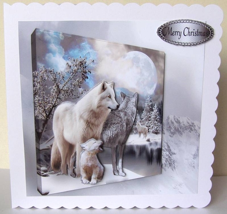 winter wolves by Margaret McCartney