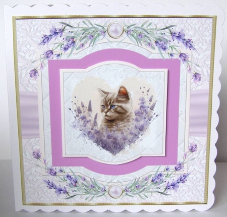 Lavender heart cat card front 1 by Margaret McCartney