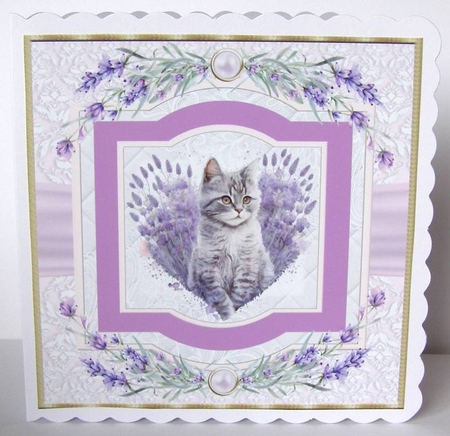 Lavender heart cat card front 4 by Margaret McCartney