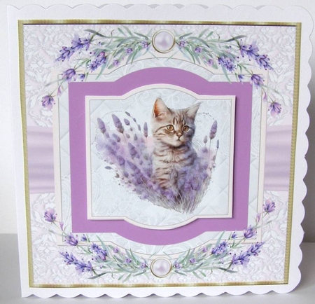 Lavender heart cat card front 4 by Margaret McCartney