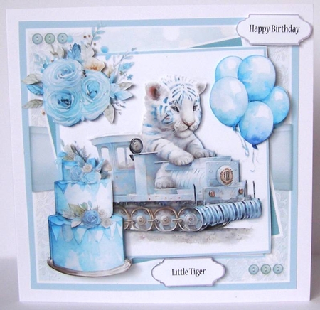 The Big Birthday by Margaret McCartney