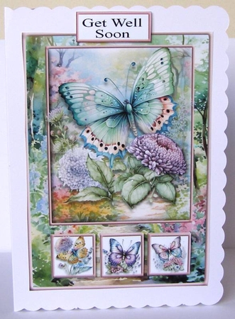 A5 Rainbow Butterflies Floral Path by Margaret McCartney