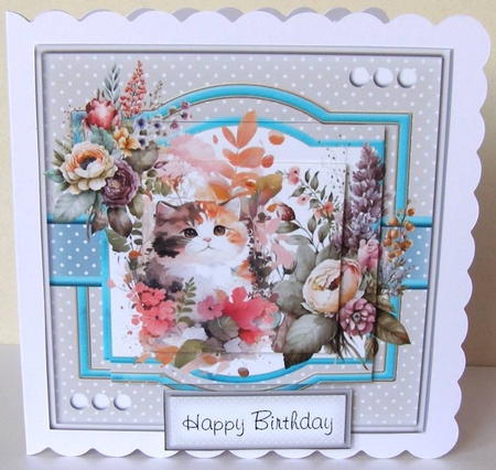 6x6 Cat and Flowers #3  by Margaret McCartney