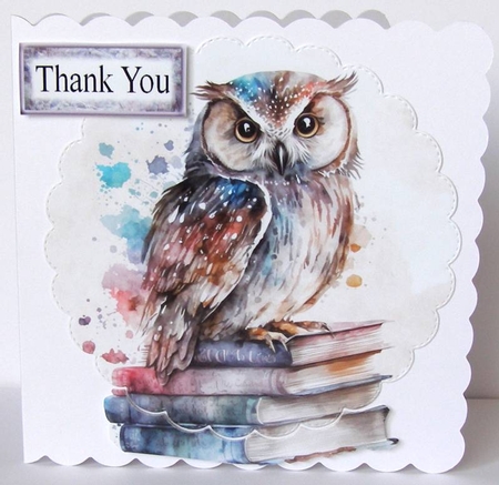 8 Watercolour Owls On Books Backgrounds    by Margaret McCartney