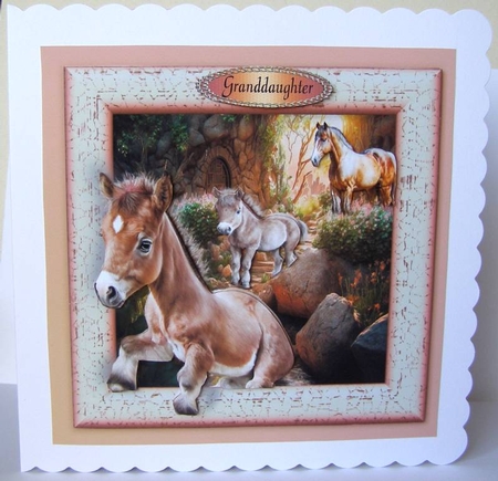 out of the frame foal by Margaret McCartney
