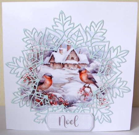 Beautiful winter birds 2 CARD FRONTS by Margaret McCartney
