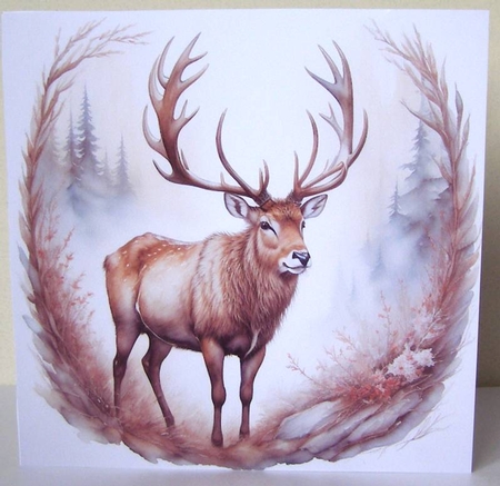 Reindeer by Margaret McCartney