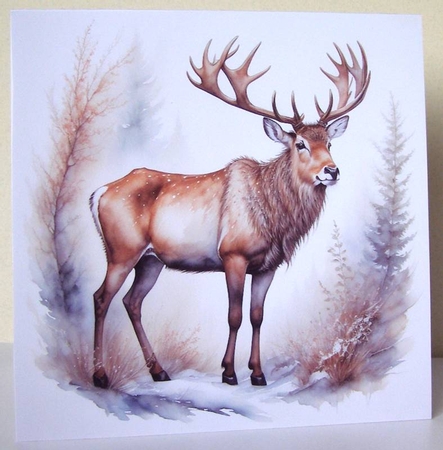 Reindeer by Margaret McCartney