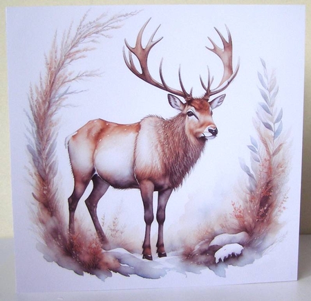 Reindeer by Margaret McCartney