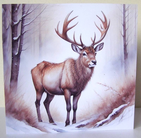 Reindeer by Margaret McCartney