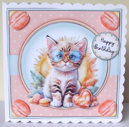 Cute Cat  by Margaret McCartney