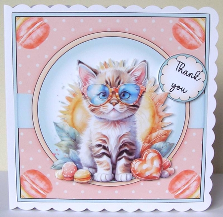 Cute Cat  by Margaret McCartney