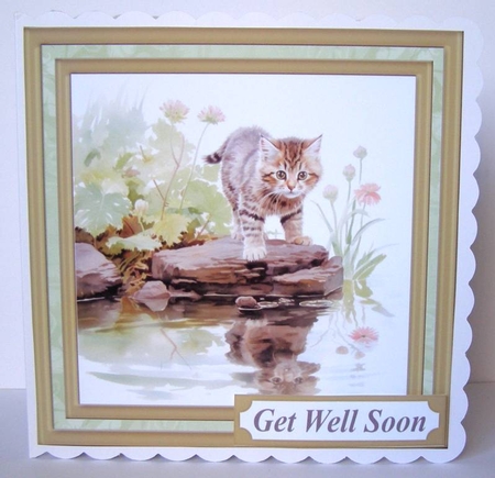 Pond side kitten card front 4 by Margaret McCartney